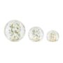 product-277189-1790097278-MEL02-0000483^2